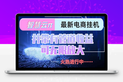 智慧云π电脑挂机单机每天收益300—500+ 并带有团队管道收益 可无限放大