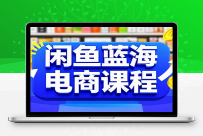 闲鱼蓝海电商课程