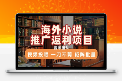 167-20250712-海外小说推广返利项目，视频投喂， 一刀不剪，矩阵批量
