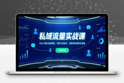 私域流量实战课，200人团队运营模型，矩阵引流技术，高客单私聊转化策略