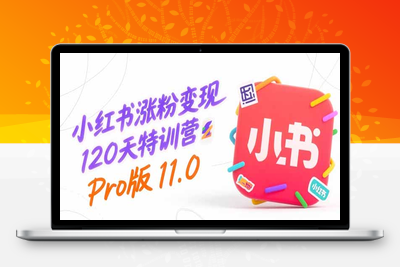 小红书涨粉变现120天特训营Pro版11.0：从0到1掌握平台运营,内容制作和变现
