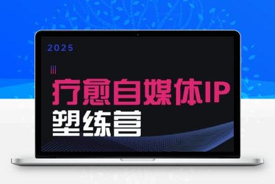 317-20250723-2025治愈自媒体IP训练营，专为疗愈领域从业者打造