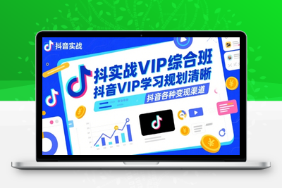 343-20250725-抖音实战VIP综合班，抖音VIP学习规划请晰抖音各种变现渠道