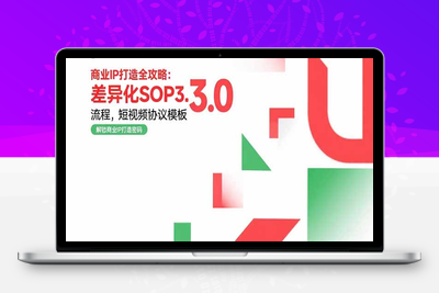 商业IP打造全攻略：差异化SOP3.0流程，短视频协议模板，婚恋项目实战案例