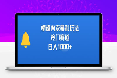 363-20250726-情趣内衣暴利玩法，冷门赛道，日入1k+
