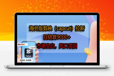 373-20250727-海外版剪映(capcut)拉新，日结算1k+，市场空白，风口项目