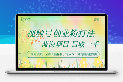 376-20250727-视频号创业粉打法，日入1k，蓝海项目，市场需求大，全程无脑操作，可复制