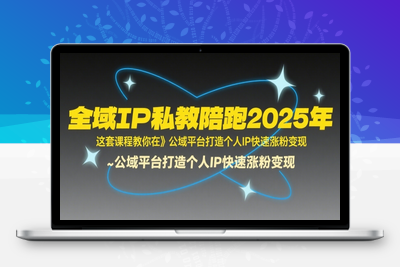 393-20250728-全域IP私教陪跑2025年，这套课程教你在​公域平台打造个人IP快速涨粉变现