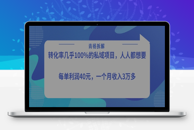 385-20250728- 转化率最高的私域项目，每单利润40-50米，月入过1w