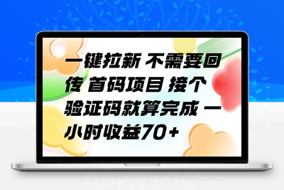 一键拉新 不需要回传 首码项目 接个验证码就算完成 一小时收益70+【揭秘】