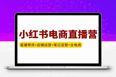 申铭老师·小红书电商直播营(更新)