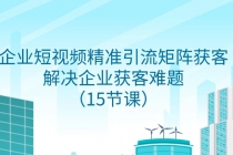 T367 张Sir 企业短视频精准引流矩阵获客S⭐企业短视频精准引流矩阵获客，解决企业获客难题（15节课）