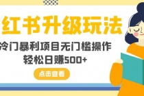 小红书升级玩法，冷门暴利项目无门槛操作，轻松日赚500+