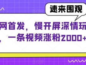 4570-20230621-小红书胎教音乐拉新玩法，小白可操作，日入500+（资料已打包）【揭秘】⭐小红书胎教音乐拉新玩法，小白可操作，日入500 （资料已打包）【揭秘】