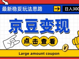 4669-20230629-2023抖音小程序项目，变现逻辑非常很简单，当天变现，次日提现【揭秘】