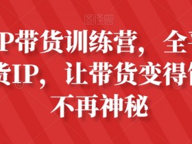 4679-20230630-2023年京东无货源转型方案，新模式30天做到日销1万以上