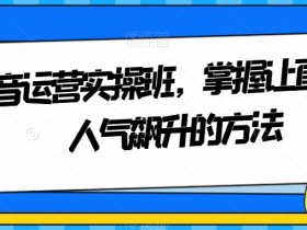 4700-20230702-最新蓝海聊天平台手动搬砖，单号日入20，多号多撸，当天见效益