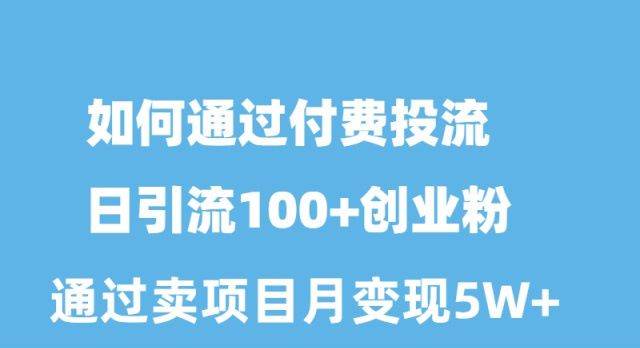 如何通过付费投流日引流100+创业粉月变现5W+⭐如何通过付费投流日引流100 创业粉月变现5W
