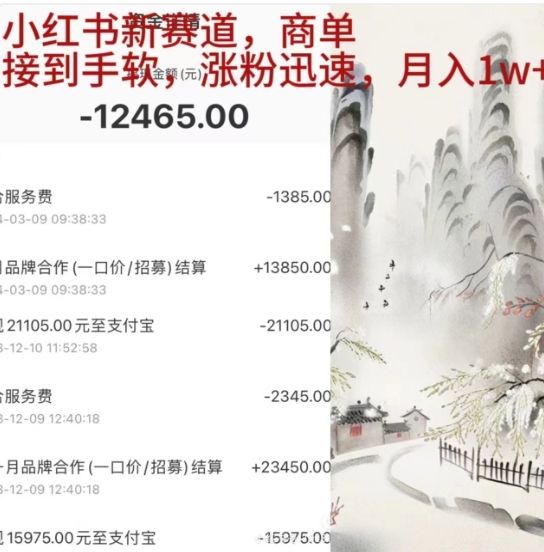 14、小红书新赛道，商单接到手软，涨粉迅速，月入1w+⭐小红书新赛道，商单接到手软，涨粉迅速，一个月1w