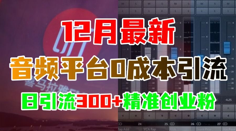 12月最新：音频平台0成本引流，日引流300+精准创业粉⭐12月最新：音频平台0成本引流，日引300 精准创业粉
